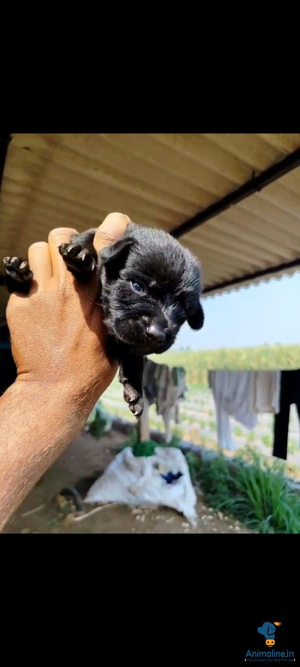 Quality lab available 