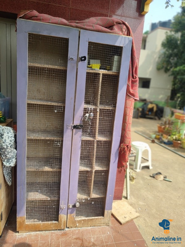 Pigeon Cage  12 partition