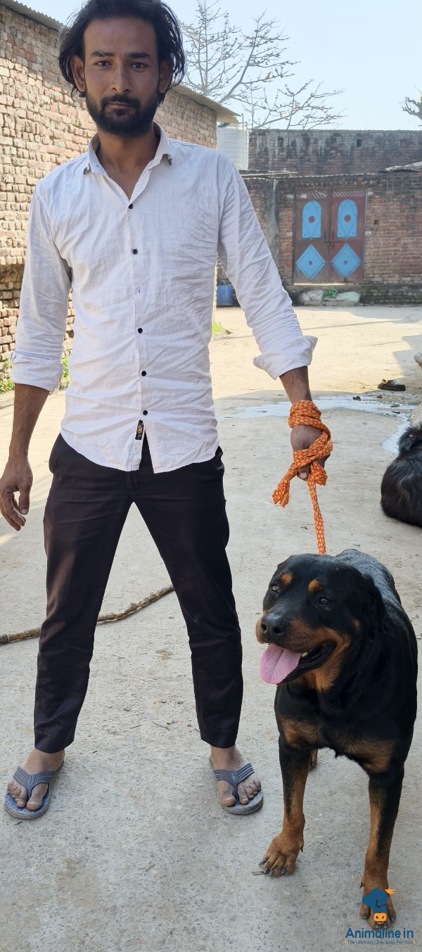 Family care and loyalty 